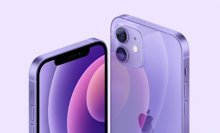 清城苹果手机维修分享紫色版iPhone 12有什么技术亮点 